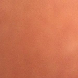 Meet your Posher, Larissa